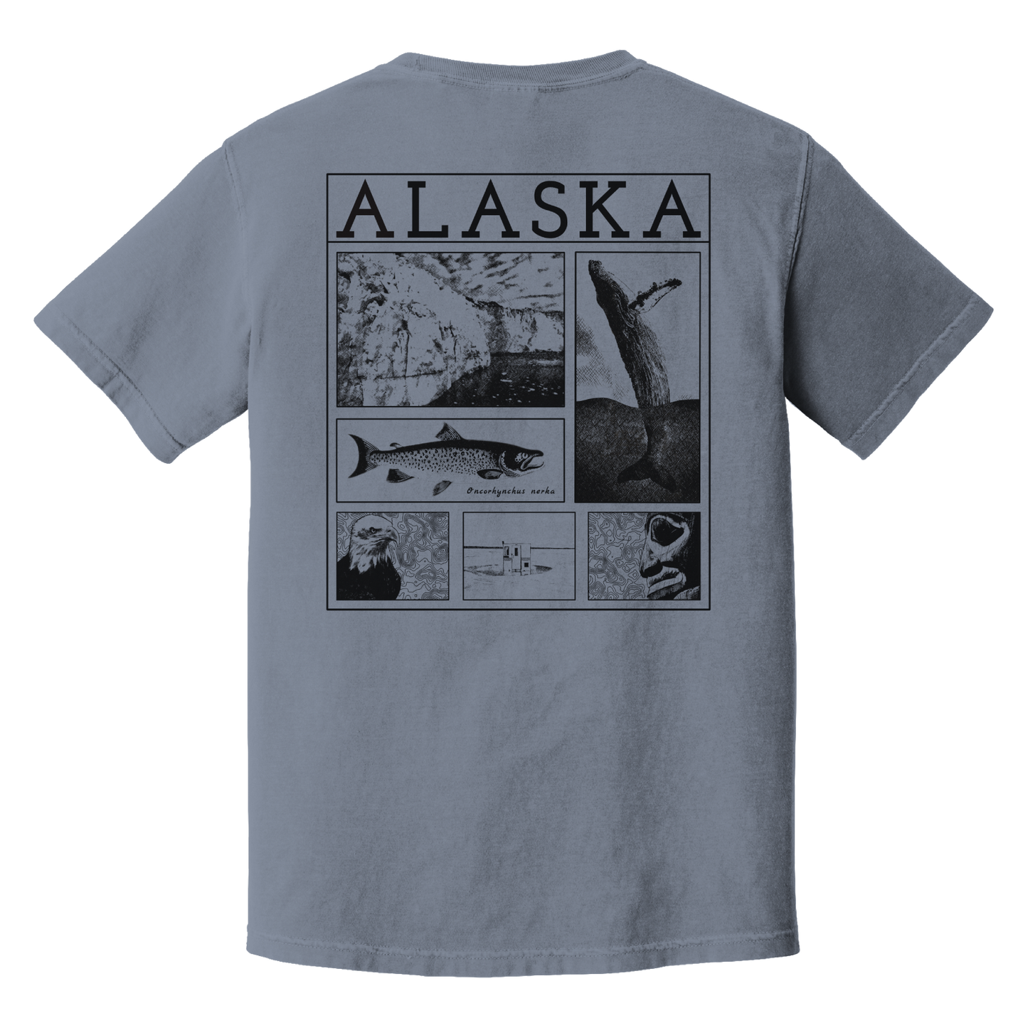 Coastal Alaska Unisex T-shirt